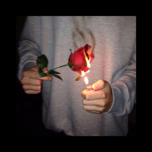 他含着她的花蒂猛吸
